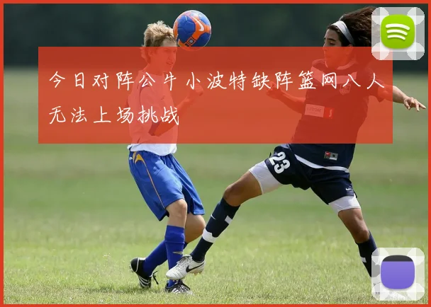 今日对阵公牛小波特缺阵篮网八人无法上场挑战