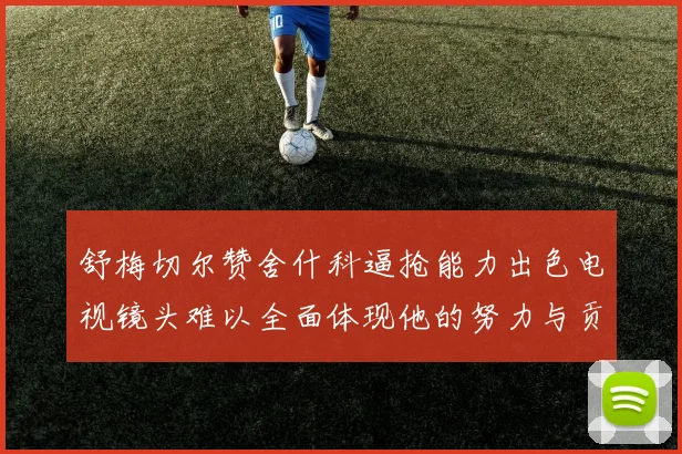 舒梅切尔赞舍什科逼抢能力出色电视镜头难以全面体现他的努力与贡献